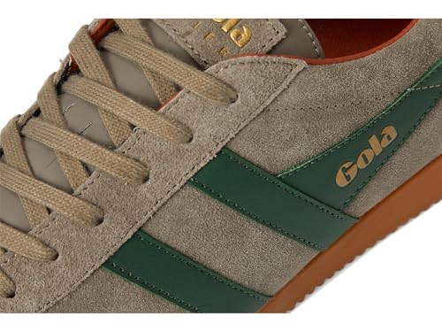 Image of Gola Harrier