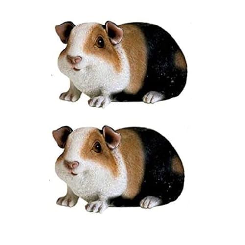 fXNgbv̒u - uz[fR[VK[fX^`[Az[K[ffR[Vʔ킢bgX^`[(2pcs)