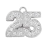 Graduation Rhineston Silver 19 Year Charm for Graduation Tassel