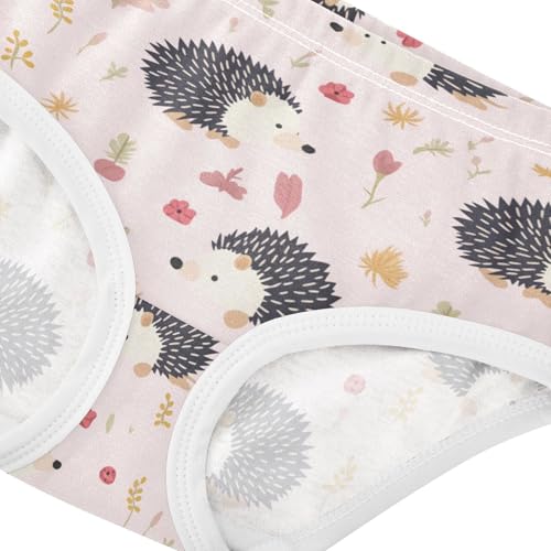 Wusikd Cute Hedgehog Girls' Underwear Cotton Pink Girls Briefs Soft Toddler Underwear 2T4