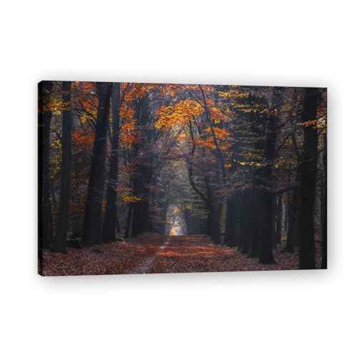 Peintures prints decor forêt tableau mural haut de gamme 30x45cm fini premium avec cadre