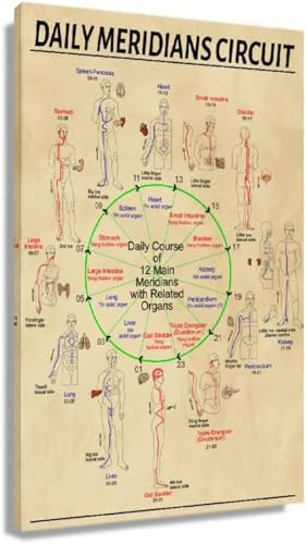 Poster Con Diagramma Dei Meridiani, Stampe Artistiche Mediche Vintage Da Parete, Stampa Artistica Su Tela Con Organi Del Corpo Umano, Per Decorazioni Murali Del Soggiorno, 40X60 Cm