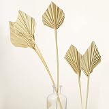 Boho Dried Palm Spears Small Natural Dried Palm Fans Dried Palm Leaves Dried Palm Leaf Palm Fan Leaf