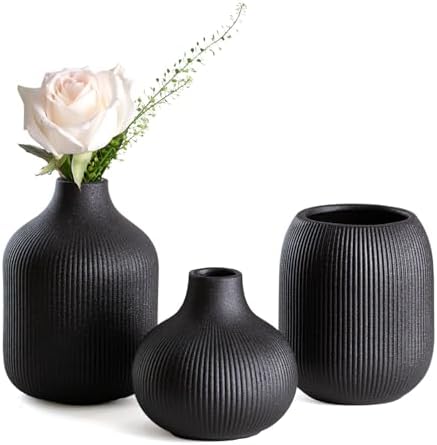 Dnnnii Modern Black Ceramic Vase Set of 3, Ribbed Texture Boho Mi...
