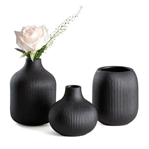 Kleines Keramikvasen-Set 3-TLG Schwarze – Minimalistische Vasen mit Rillendesign, kompakte Übergangsdekoration für Wohnzimmer, Schlafzimmer, Büro (3-TLG Schwarzes Keramikset)