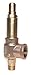 Apollo Valves 511DCDKMAA0175 Multi-Purpose Safety Relief Valve - 1/2 x 3/4 In