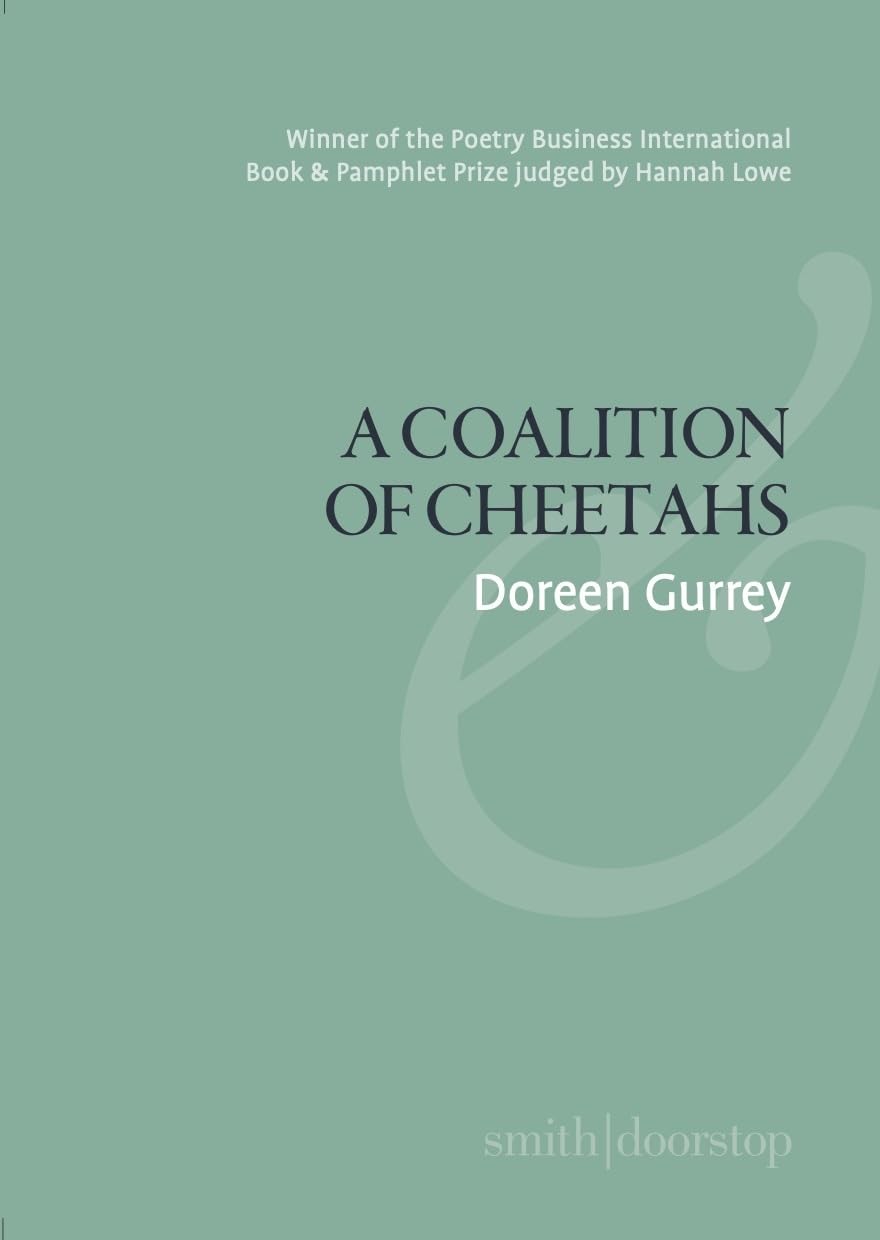 A Coalition of Cheetahs by Doreen Gurrey (Paperback Book)