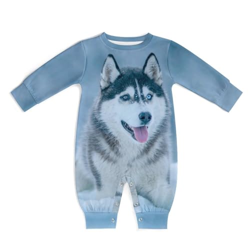 [STEBVI] p[X nXL[  ` xr[  Jo[I[ ̎q j̎q Ԃ OJ pW} V c 킢  _炩  QԒ oYj v[g 0-3M