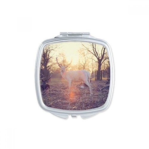 Miroir de poche compact sciences forestières pour retouches faciles - 2