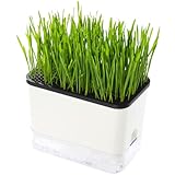 BENPIN Self-Watering Cat Grass Planter (no Seed Included), with Drainage Holes and Anti-Digging Design, Wheat Grass Growing Pot, Cat Grass for Indoor Cats Pets (1)