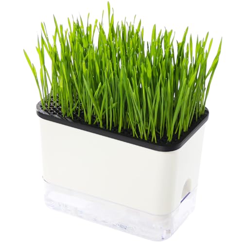 BENPIN Self-Watering Cat Grass Planter with Drainage Holes