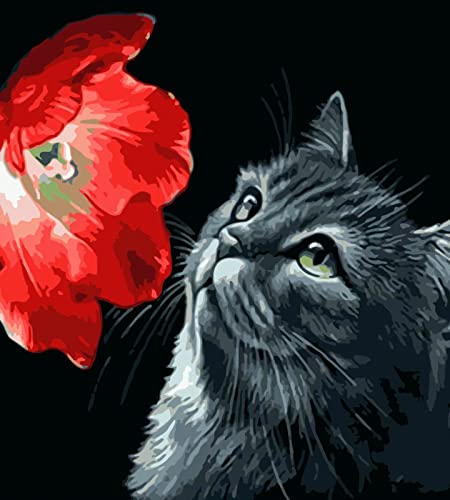 Kit peinture au diamant 5D cadeau créatif idéal pour petits et grands