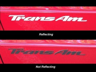Trans Am Badge Overlay Decal - 93-02 Firebird Trans Am - (Color: Reflective Light Silver)
