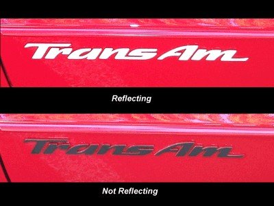 Trans Am Badge Overlay Decal - 93-02 Firebird Trans Am - (Color: Gloss Red) #TOP13