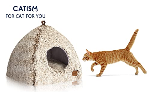 CATISM Katzenbett Waschbar Katzenschlafplatz für Katzen Katzenhöhle Plüsch Haustier Katzenkopfkissen Katzenhaus Katzenkissen Flauschiges Kätzchen Welpen Kuschelbett Haustierbett Kaffee
