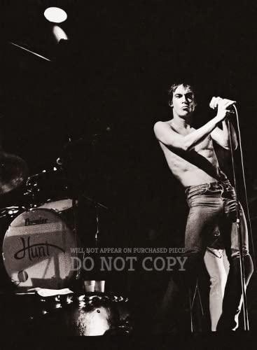 Photo rare de Iggy Pop en concert affiche d'art de collection