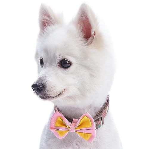 Blueberry Pet Moments of Peace Happy Reindeer