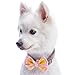 Blueberry Pet 4 Patterns Christmas Moments of Peace Happy Reindeer Designer Adjustable Bowtie Dog Collar, Medium, Neck 14.5
