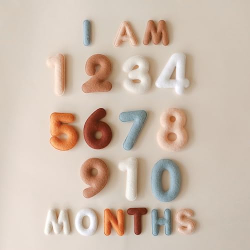 Baby Monthly Milestone Numbers – Signs & Photo Props – Soft Felt Letters & Numbers for Baby Announcement, Newborn Photography, Neutral by Lucy Darling - Image 3
