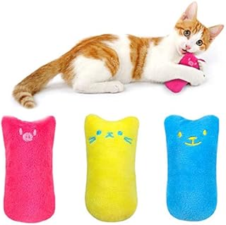 kitten pacifier petco