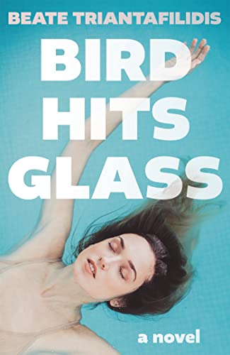 Bird Hits Glass (English Edition)
