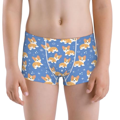Boys' Cotton Boxer Brief Soft Underwear-Corgi