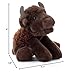 The Petting Zoo Floppy Bison Stuffed Animal Plushie, Gifts for Kids, Wild Onez Wildlife Animals, Bison Plush Toy 9 inches