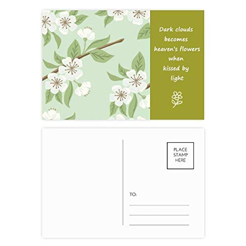 Pêche blanche fleur dessin flore lot de 20 cartes postales à offrir ou pour correspondre
