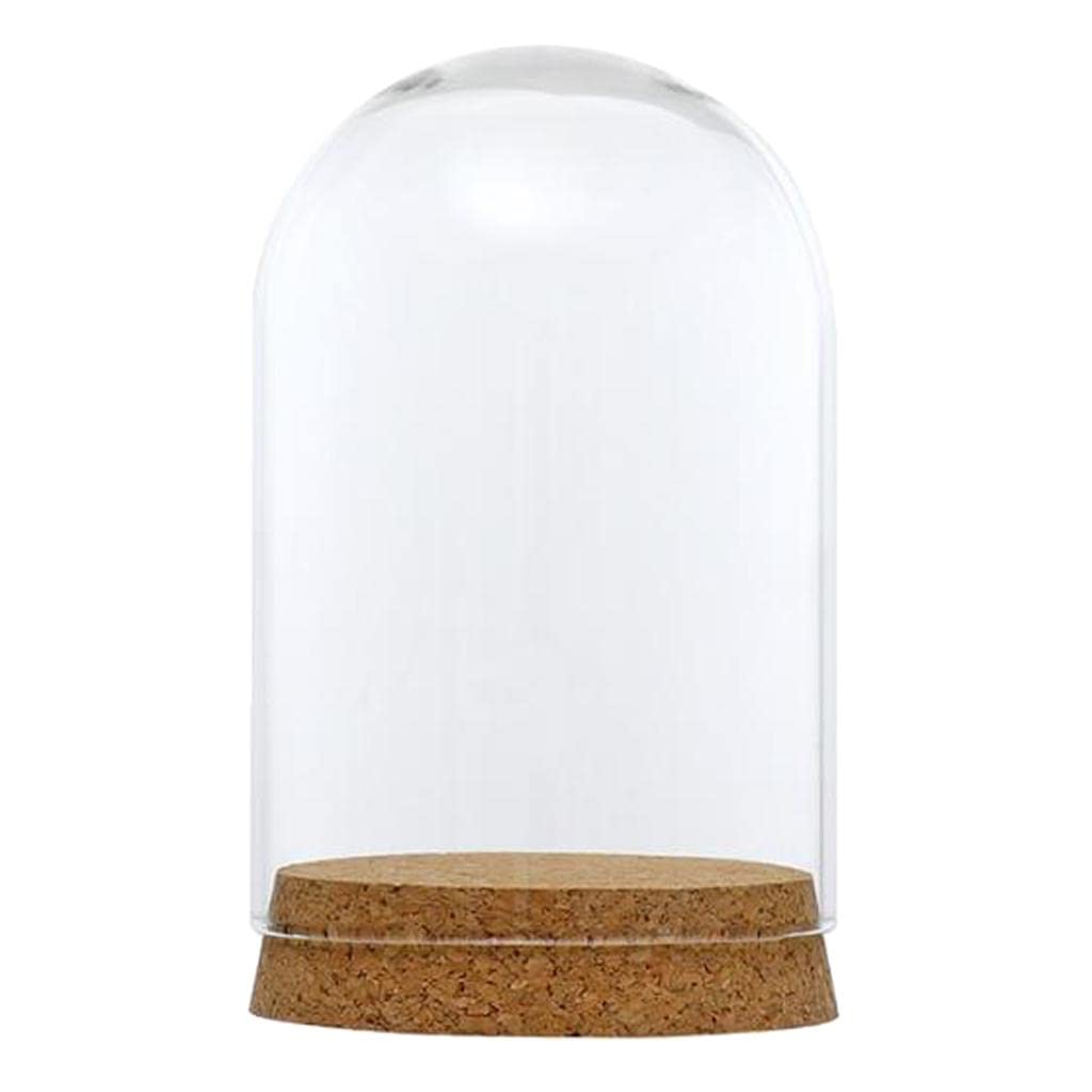 Couvercle en verre pour terrarium haute transparence 8x12cm avec rebord stable