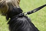 GOLEYGO Hundeleine Flat, Schwarz, Größe M 1,4-2m, Sicherer Magnetverschluss, Inkl. Adapter-Pin, Hundeleine für kleine & große Hunde bis 60kg, Maximale Belastung 200kg
