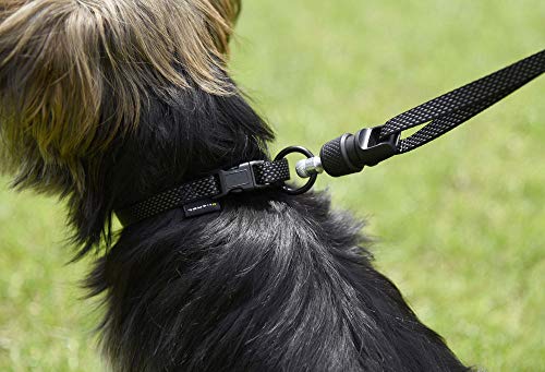 GOLEYGO Hundeleine Flat, Schwarz, Größe M 1,4-2m, Sicherer Magnetverschluss, Inkl. Adapter-Pin, Hundeleine für kleine & große Hunde bis 60kg, Maximale Belastung 200kg
