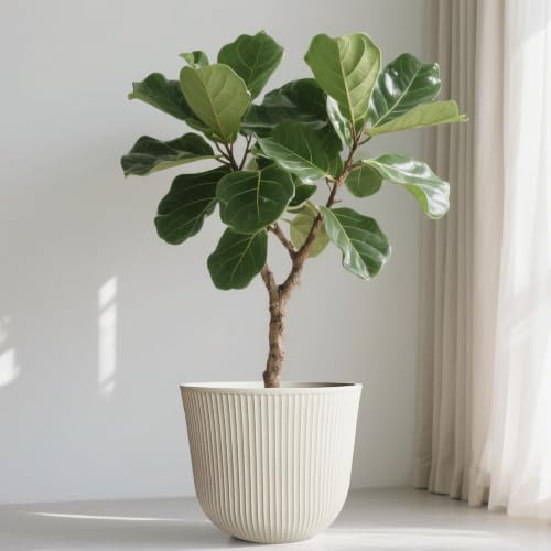 Large Planter Pot