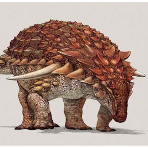 Borealopelta, the Northern Shield Podcast Por  arte de portada