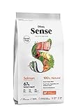Antioxidantes naturales. Dibaq Sense Grain Free Salmón. Alimento 100% Natural para perros. 2 Kg.