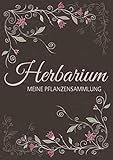 Herbarium - Meine Pflanzensammlung: Herbarium Leer A4 - Pflanzen Sammeln, Bestimmen, Aufbewahren - 110 Seiten Papier Weiß - Pflanzenbestimmung - Motiv: Vintage Blumen Blüten Muster Natur