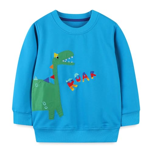 Boys Sweatshirts Long Sleeve Sweatshirts T-shirts Crew Neck Cotton Casual Sweatshirts Cartoon Tops for Boys-120