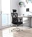 SIHOO Silla Ergonómica de Oficina, Silla de Escritorio con Soporte Lumbar Ajustables,...