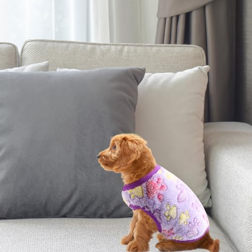Disfraz conejito para perro tamaño XXS 2 piezas miniatura 3