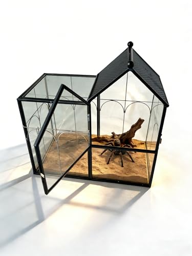 YYFWND Ready-to-Use Glass Terrarium Vents -