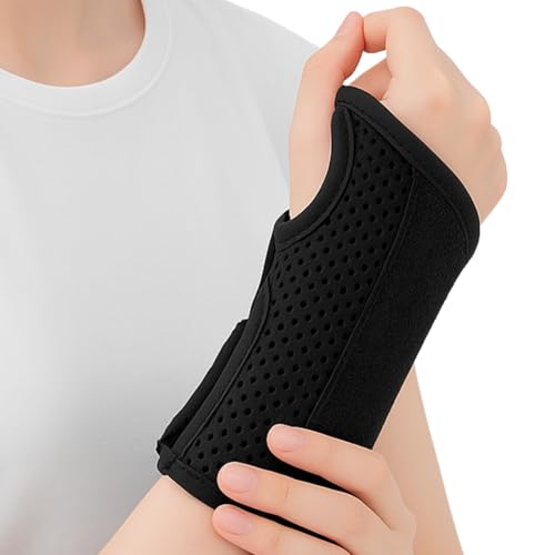 T|  T|[^[ F Œ ywÖ@mE̔z  jp Ԃ  玙 (Ep)