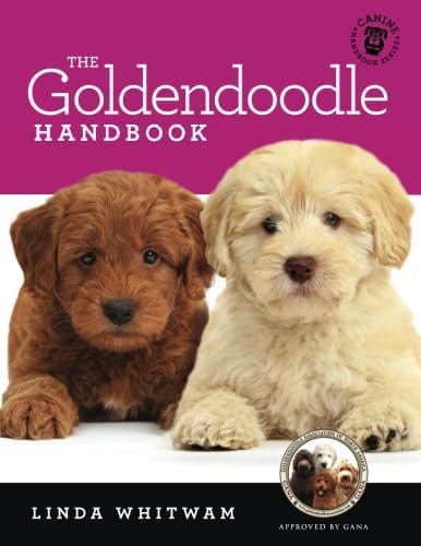 The Goldendoodle Handbook: The Essential Guide For New & Prospective Goldendoodle Owners (Canine Handbooks) Paperback – August 3, 2016
