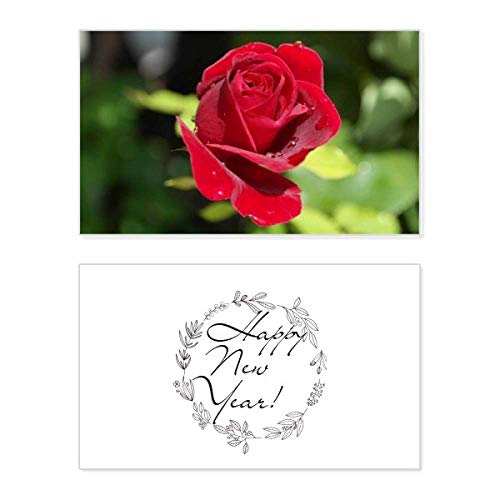 Tarjeta conmemorativa con rosas rojas oscuras, elegante felicitación de alta calidad