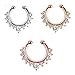 Achieer Nose Ring Septum Piercing Jewelry, Cubic Zircon Fake Septum Nose Ring for Women Non Piercing Clip On Body Piercing Jewelry (Three Colors)