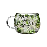 Tazas de café de vidrio – Vasos estéticos de doble pared, tazas de café novedosas, para el hogar, dormitorio, sala de estar, cocina, apartamento, té, cumpleaños, de vacaciones