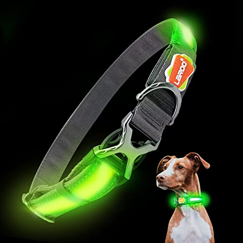 LaRoo LED Leuchthalsband Hund USB Aufladbar Nylon Robuste Edelstahl-Metallschnalle Einstellbar Nacht Leuchte Hundehalsband Halsband für Große Hunde Langhaar (L:2.5*(43-64) cm) Cover