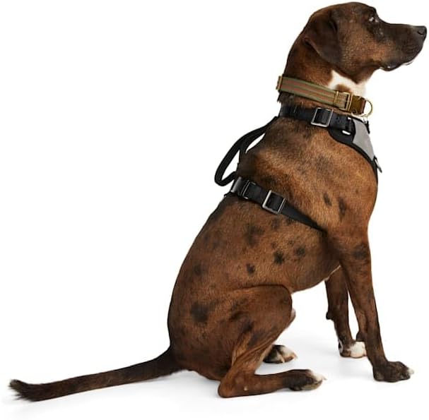 Reddy by Petco Jacquard Dog Harness Black XX-Large/3X-Large