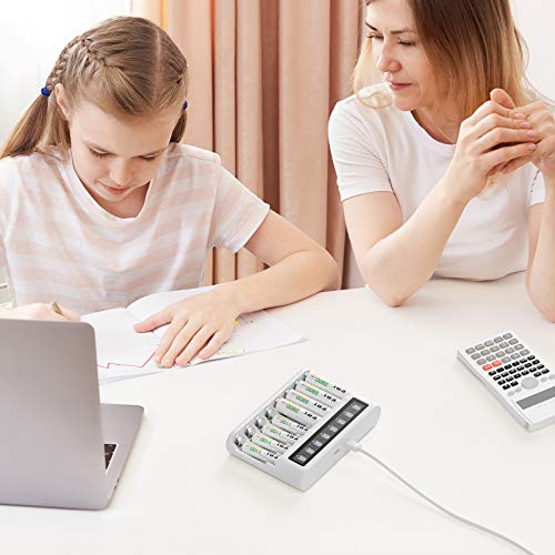 Ebl 8 Slot Battery Charger Aa Aaa Battery Charger For Nimh Nicd Rechargeable Batteries With Lcd Screen Discharge Function, Convenient Usb And Type-C Input #TOP7