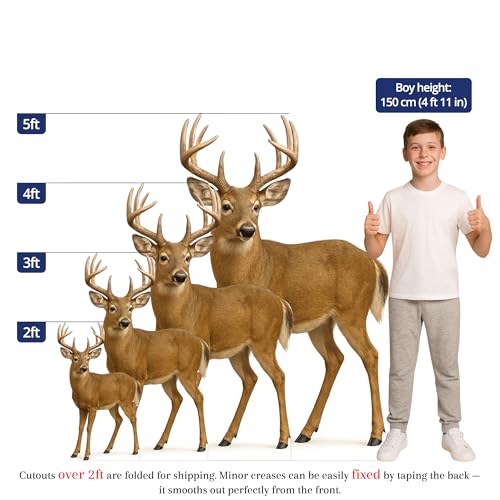 Image of White Tail Deer 3FT Life Size Cardboard Cutout - A Fun Animal Standup for Photo Booths, Birthday Parties, and Events