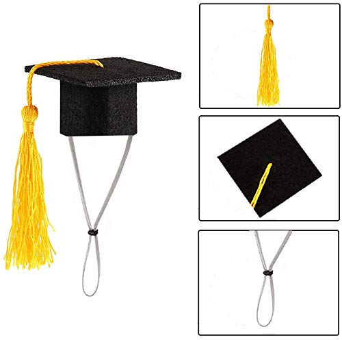 Pequenos bonés de formatura de animais mini chapéus de solteiro com borla brilhante fantasia para po