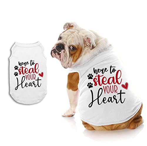 Here to Steal Your Heart Valentine Dog Shirt, Valentine's Day Dog Shirt, Valentine Shirt for Dogs, Valentine's Day Shirt for Dogs, Clothes for Pets (5XL 70-90 lbs)
